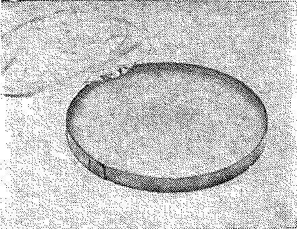 t15.jpg