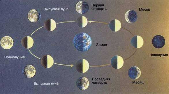 Когда можно увидеть Луну